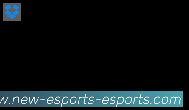 DOTA比分合作伙伴